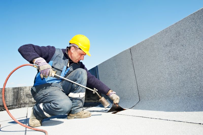 Professional Roofing Contractors
